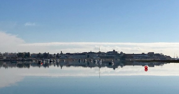 a bridge over a body of water